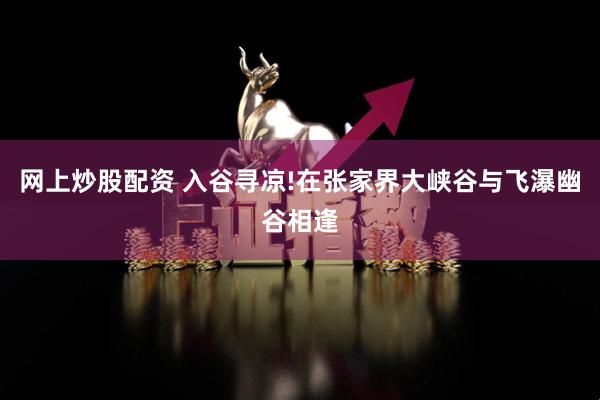 网上炒股配资 入谷寻凉!在张家界大峡谷与飞瀑幽谷相逢